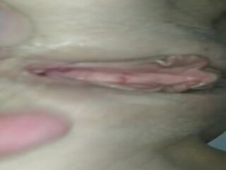 प्रधान पुसी मलाई पाई (close-up)