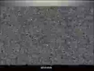 Wrinkled star razpis punca pampers več kot ena dong