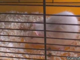Жеребець чубчик бабуся наступний двері